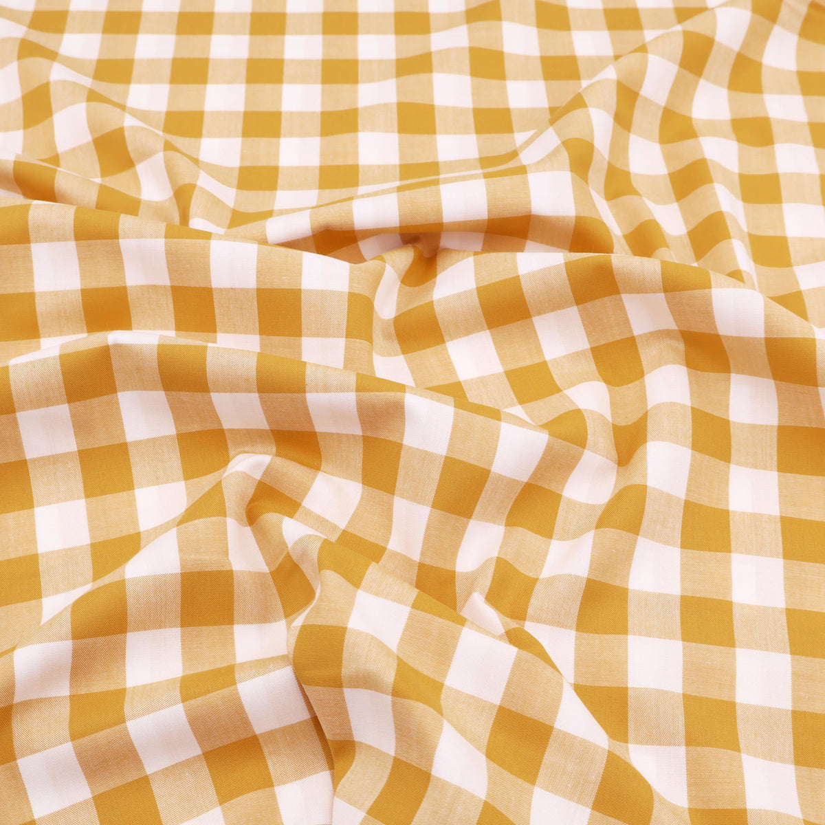 Large Ochre