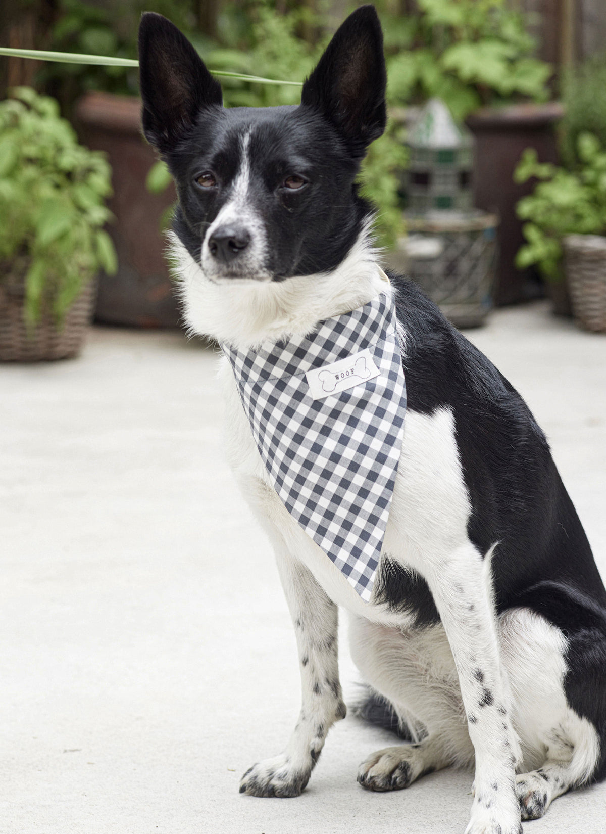 Burda Style Pet Accessories Sewing Pattern Guide B5702