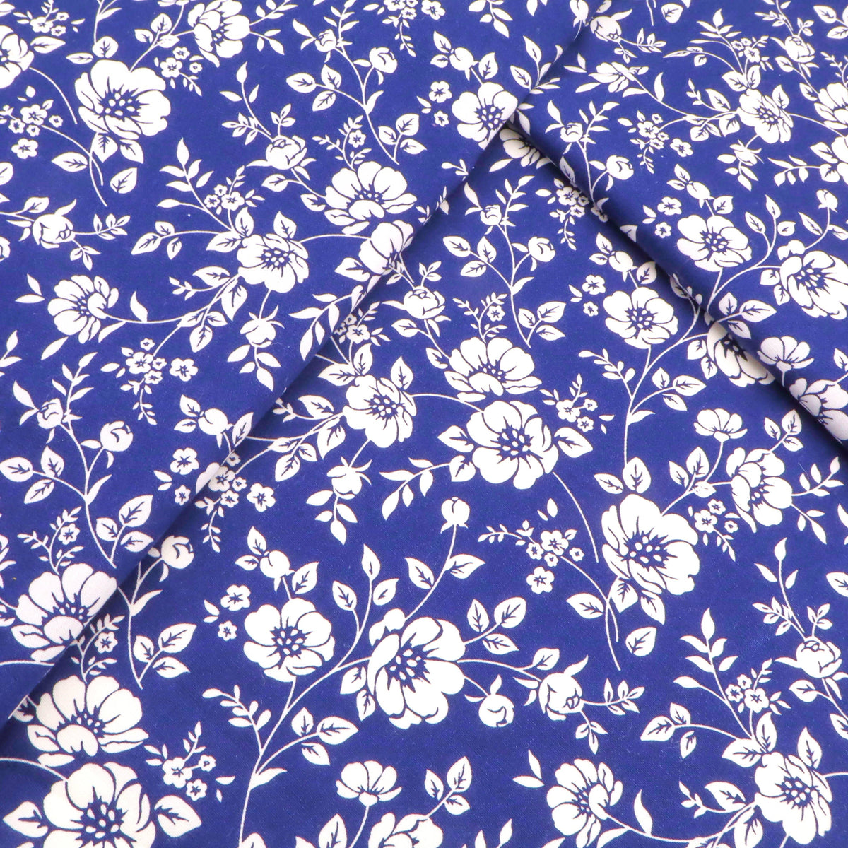 Flowers on Blue