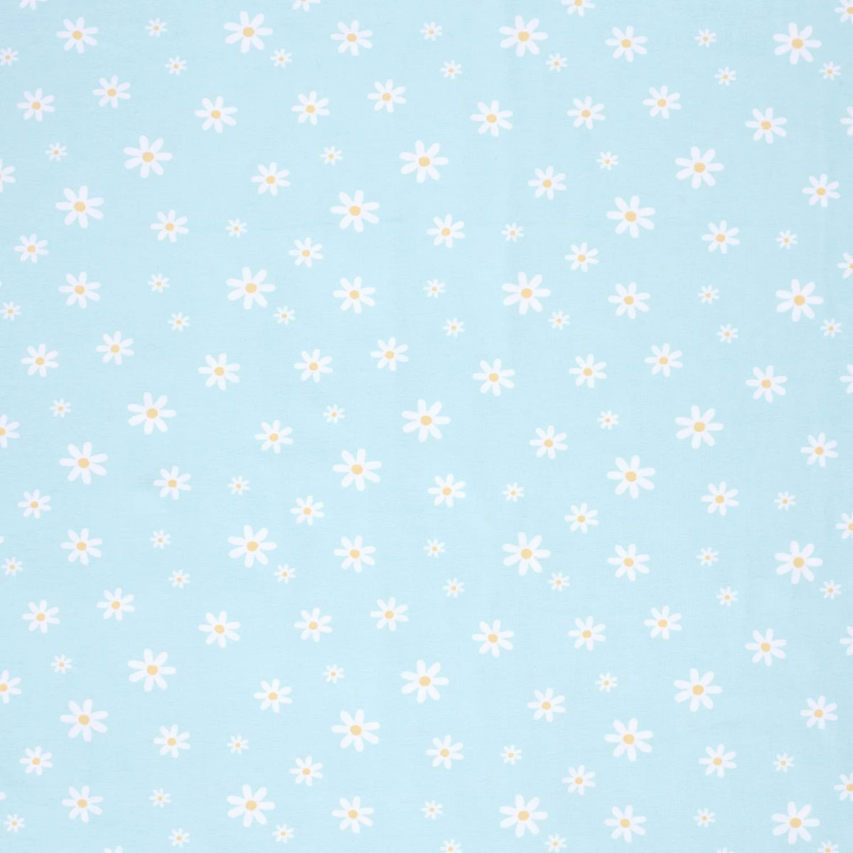 White Daisies on Blue