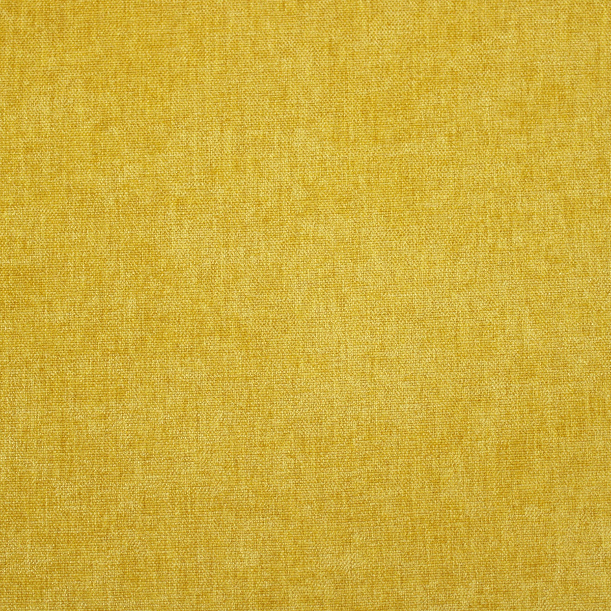 Mustard Gold