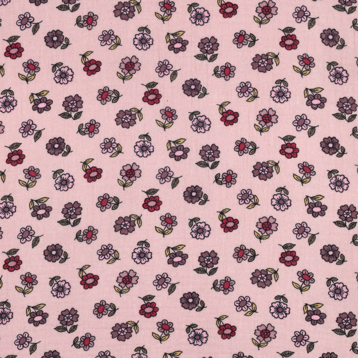 Blush Pink Flowers