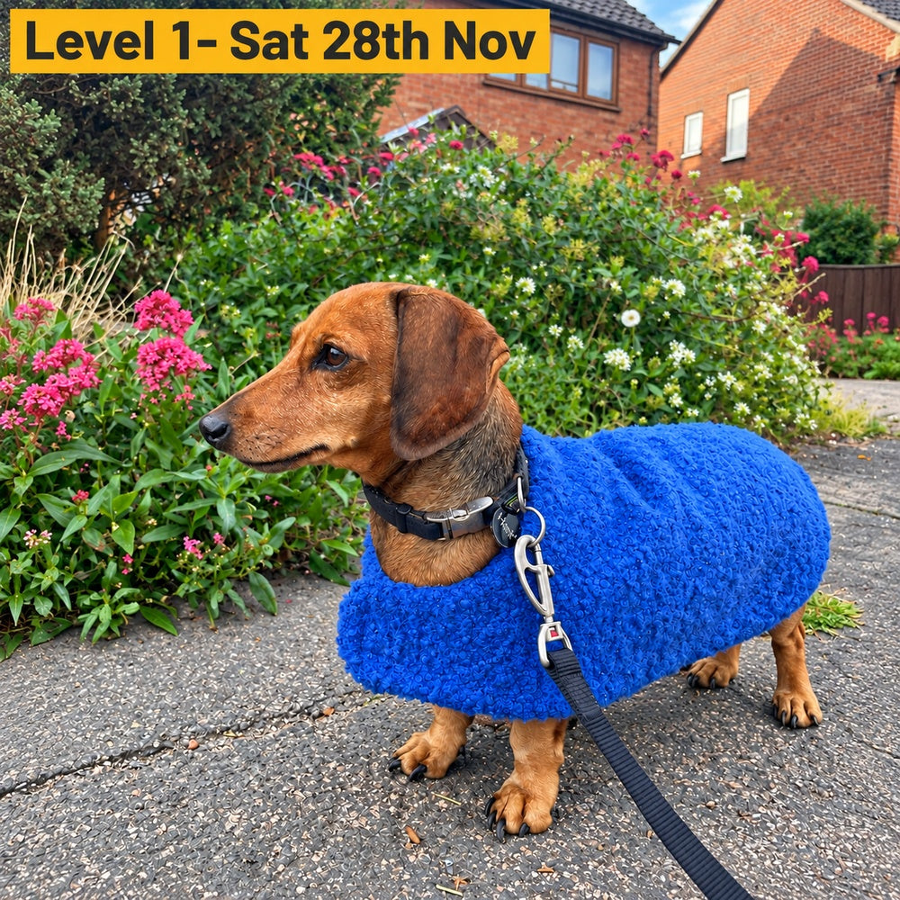 Beginner Sewing Class - Make a Dog Coat