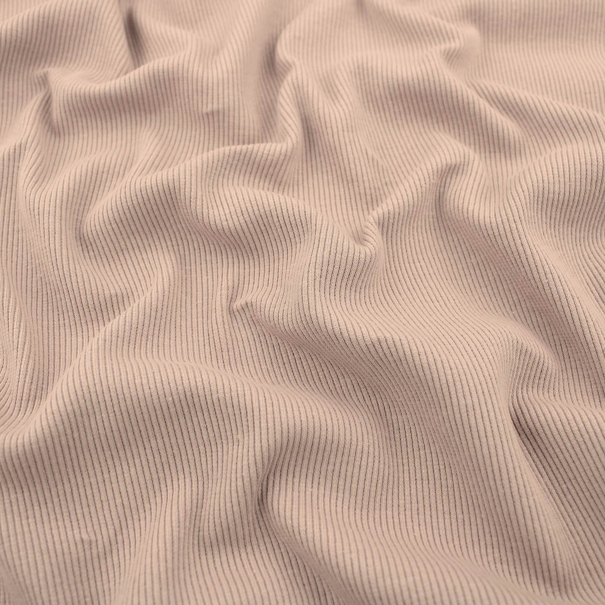 Fine Ribbed Cotton Jersey - Skin