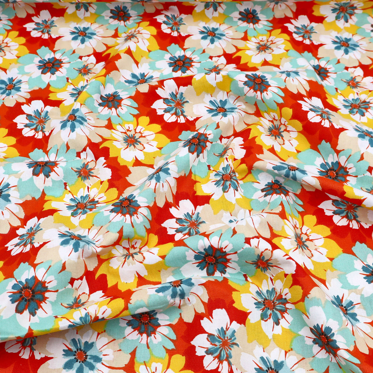 Spring Daisies