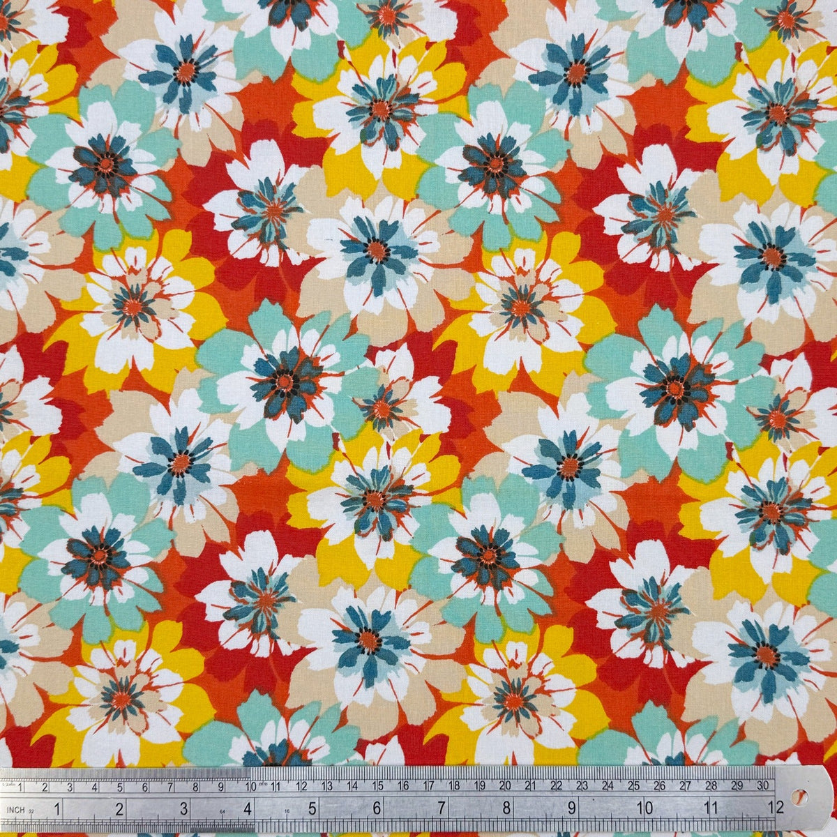 Spring Daisies