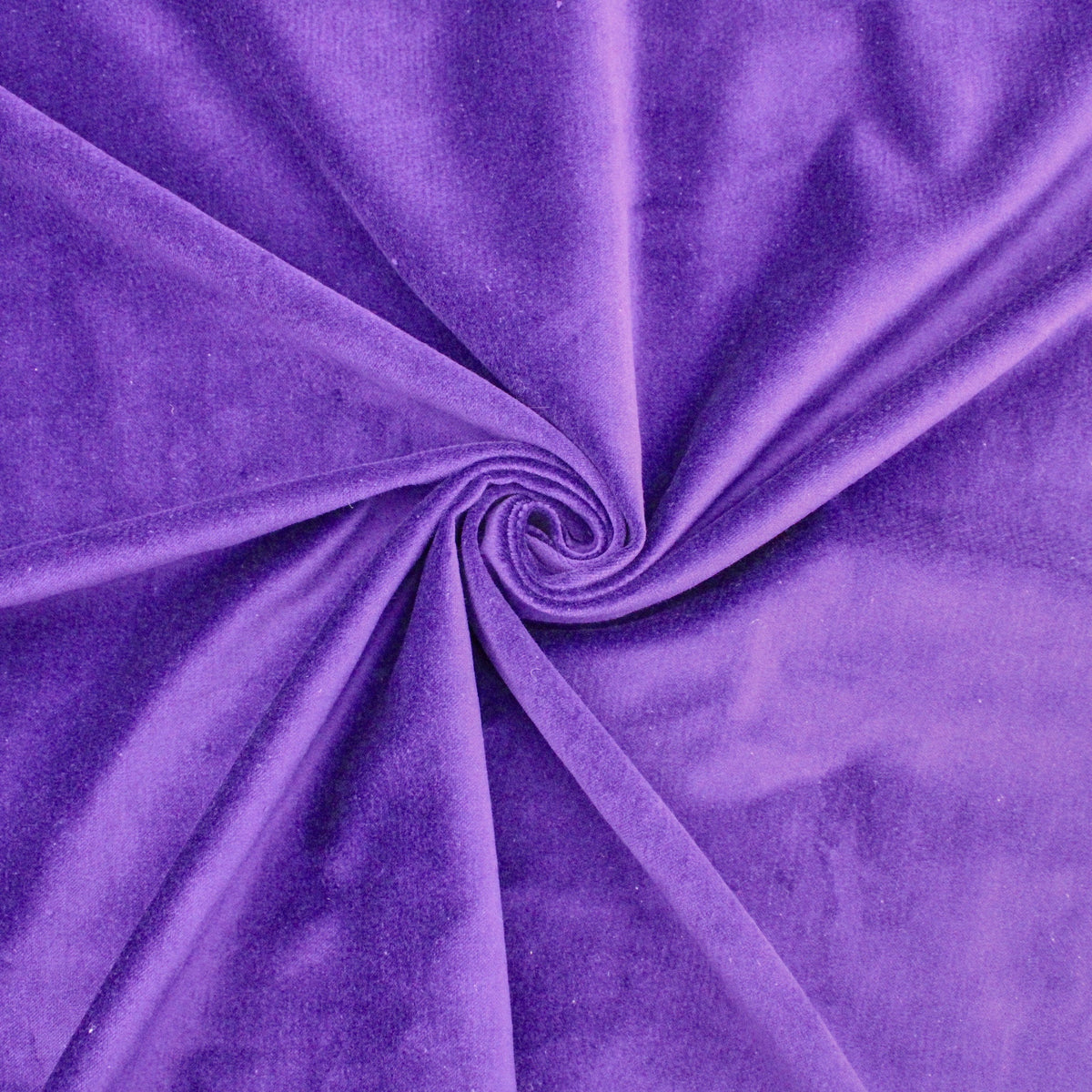 Orchid Purple