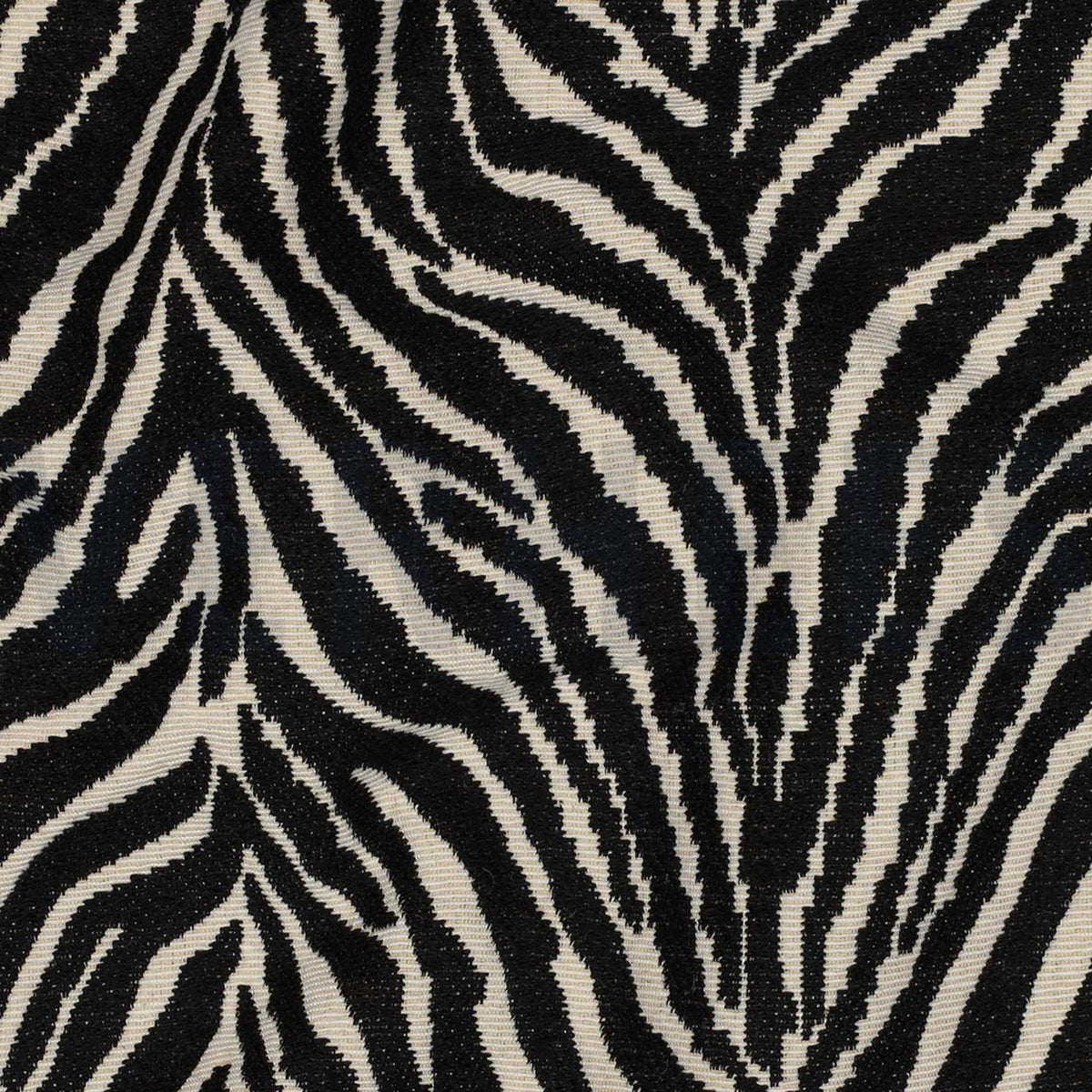Animal Zebra Print
