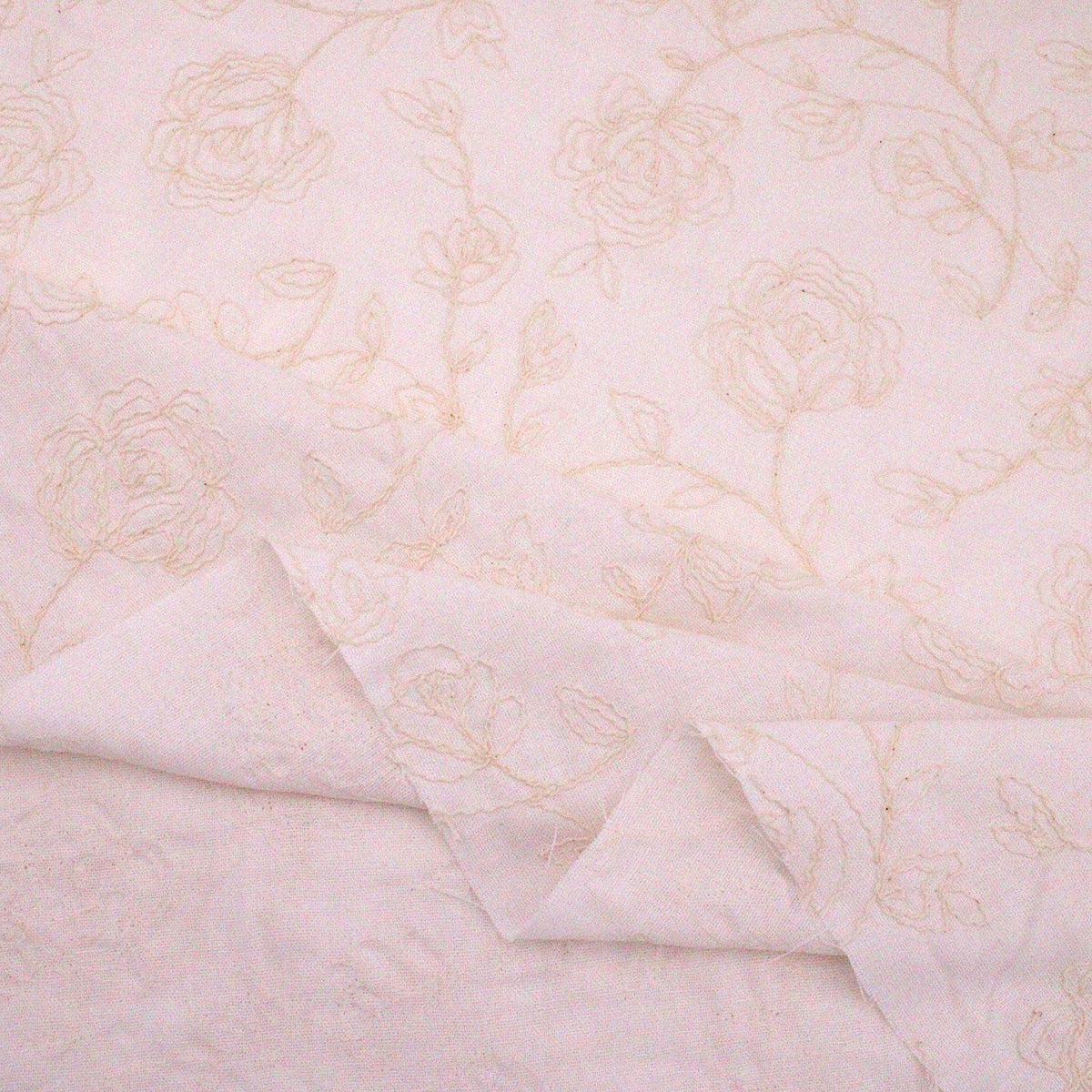 Cream Peony
