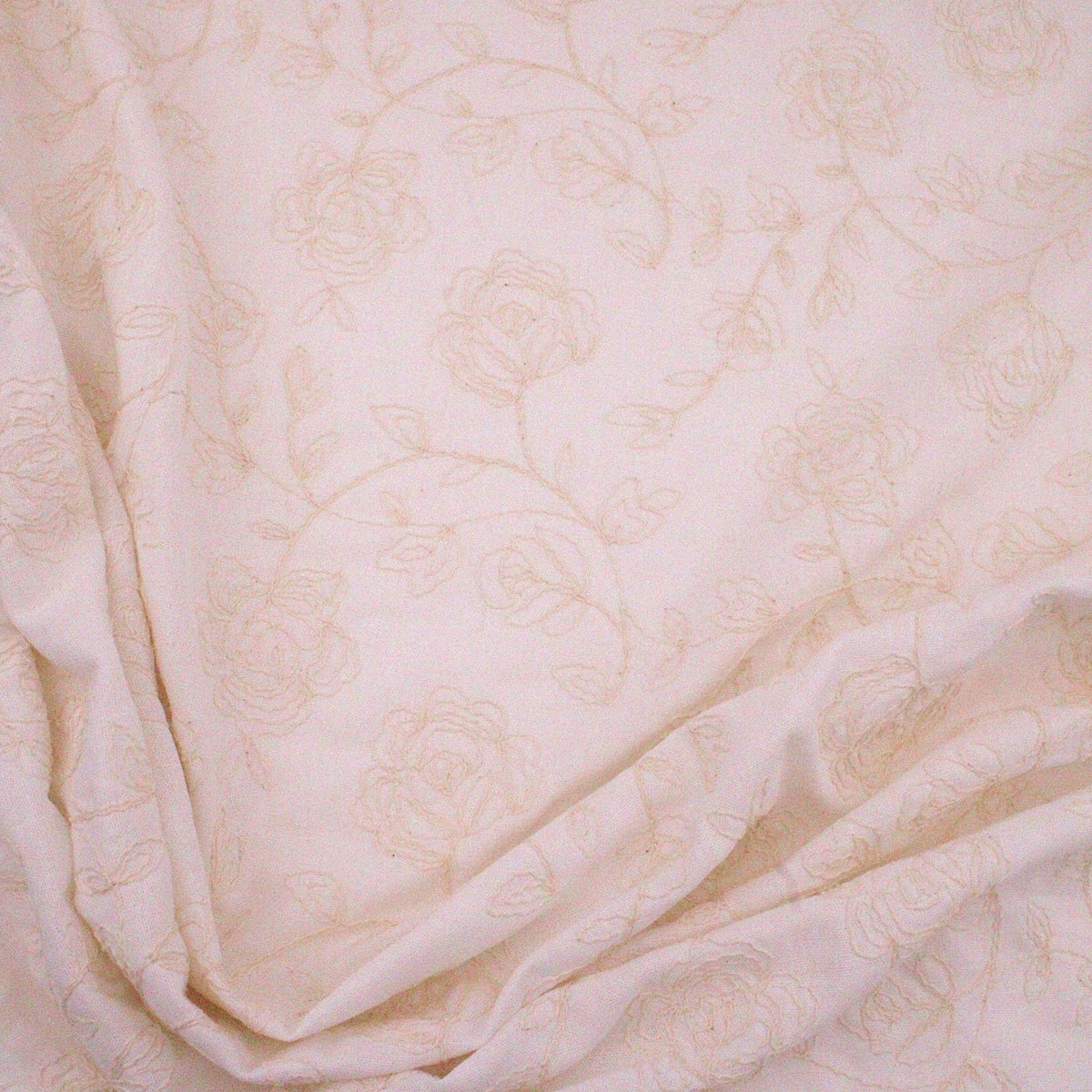 Cream Peony