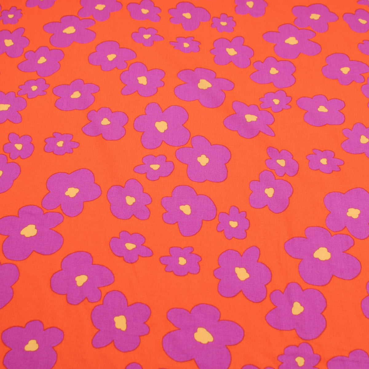 Coloured Purple Flowers on Orange