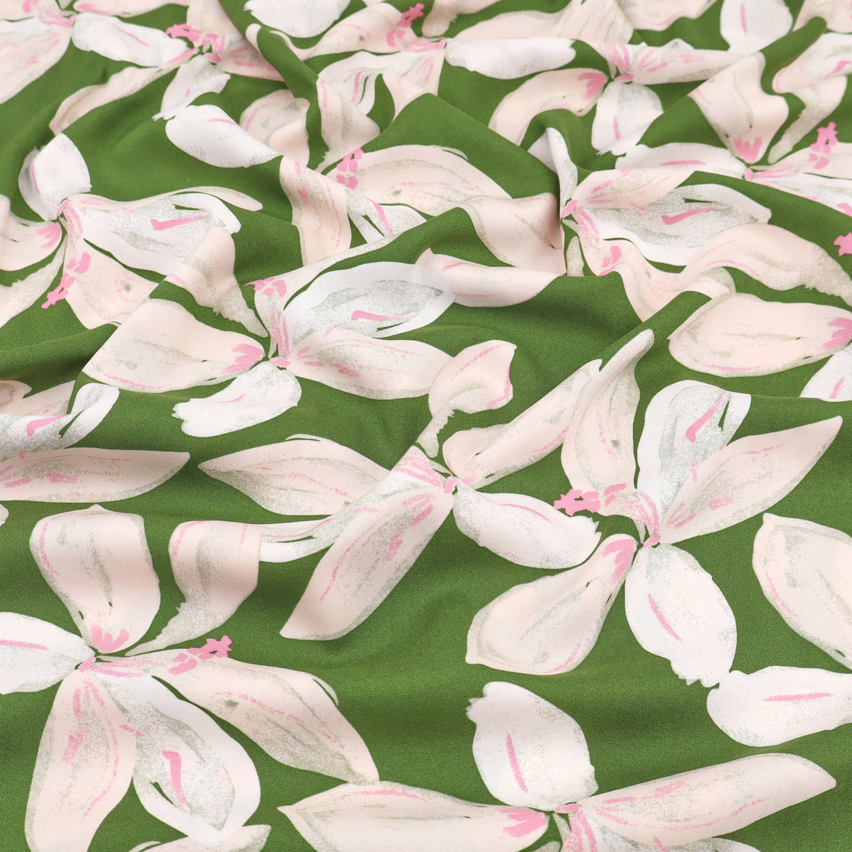 Lily Olive