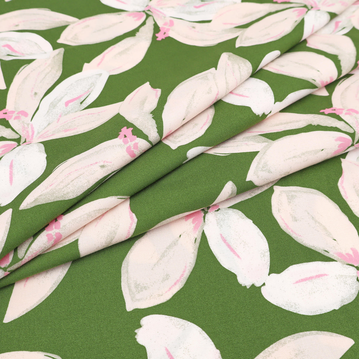 Lily Olive