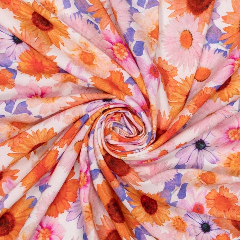Vibrant Daisies