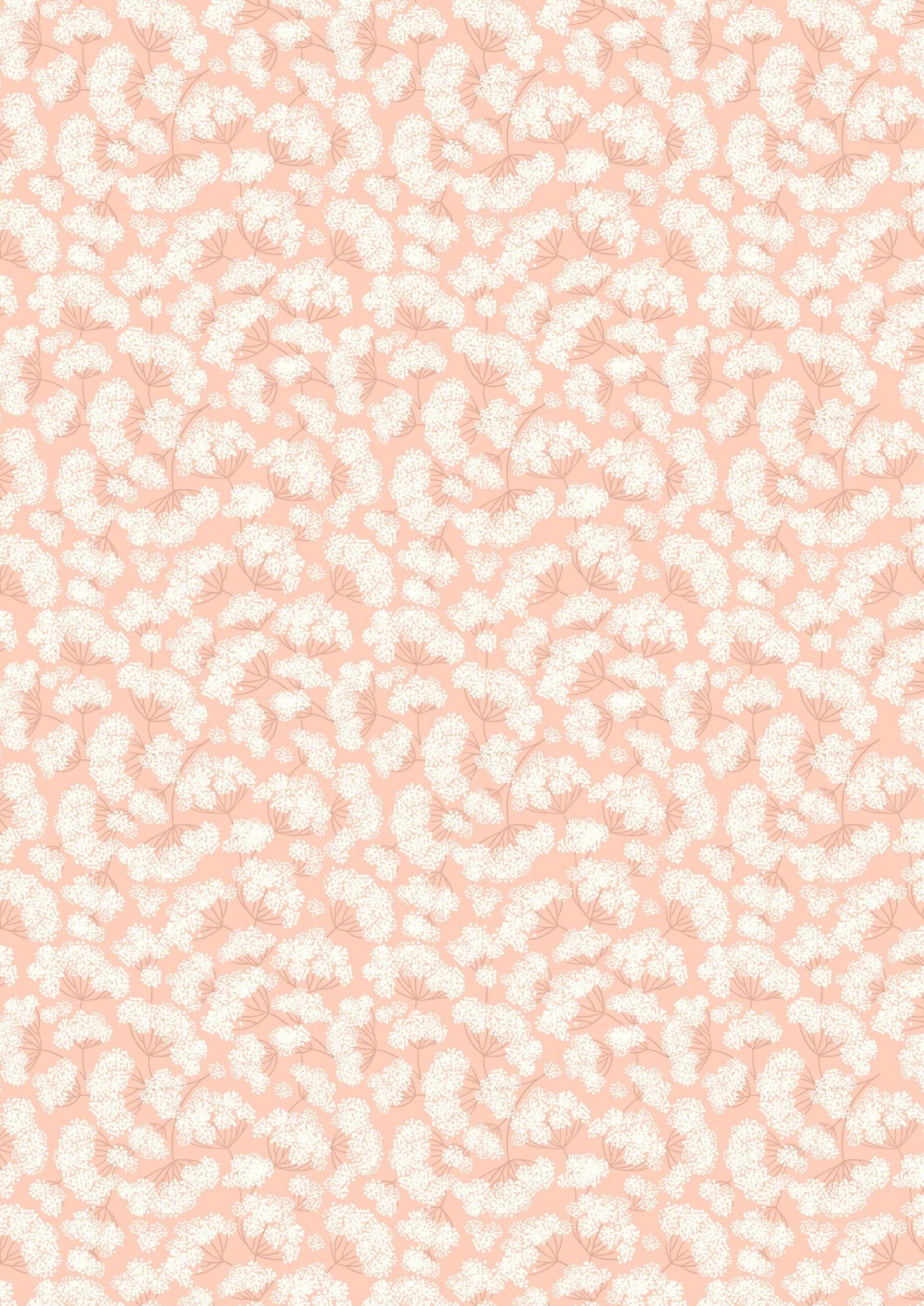Cow Parsley on Peach Blush