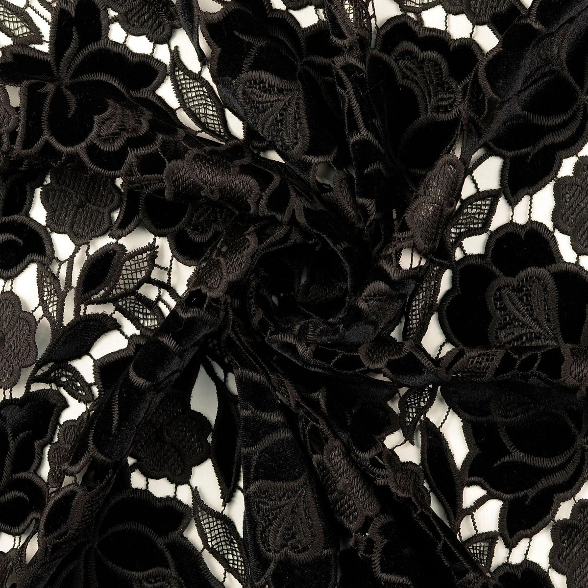 Black Rose