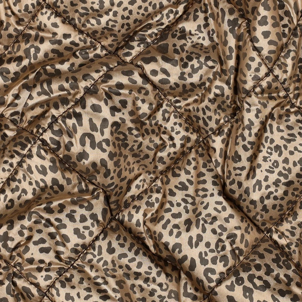 Bronze Leopard