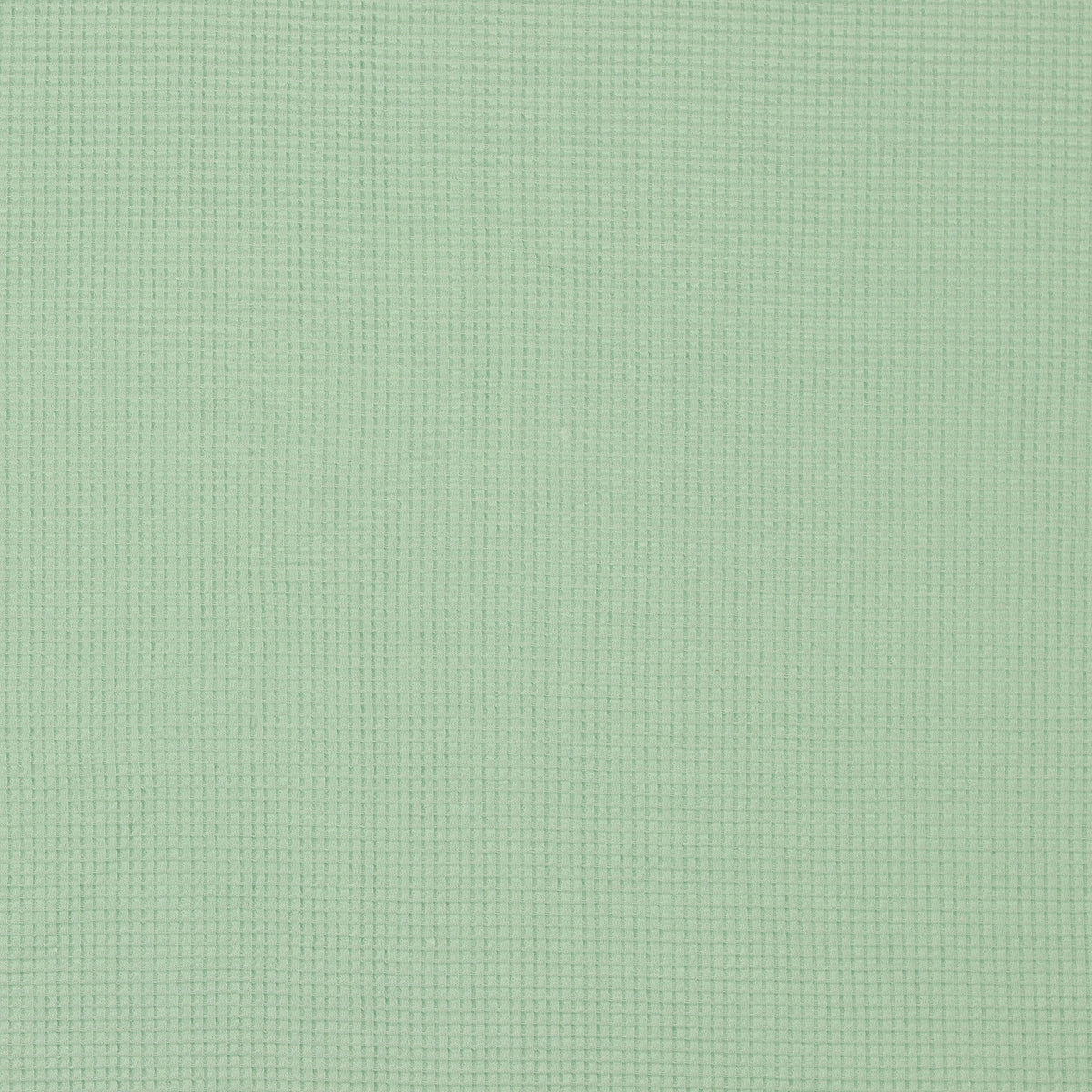 Small Waffle Cotton Jersey - Mint Green