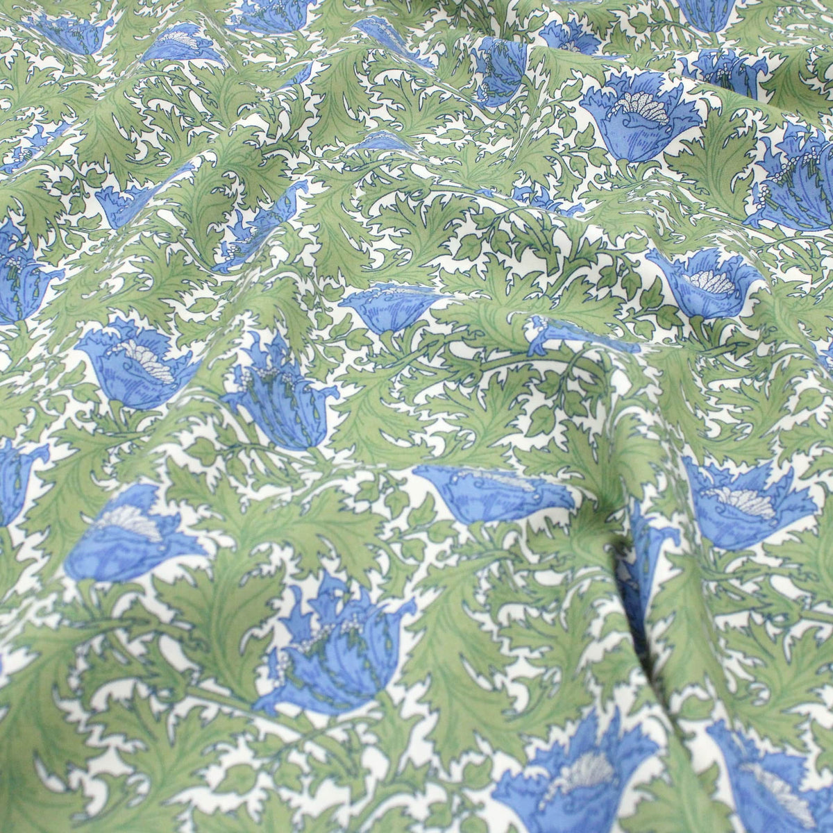 Anemone Green