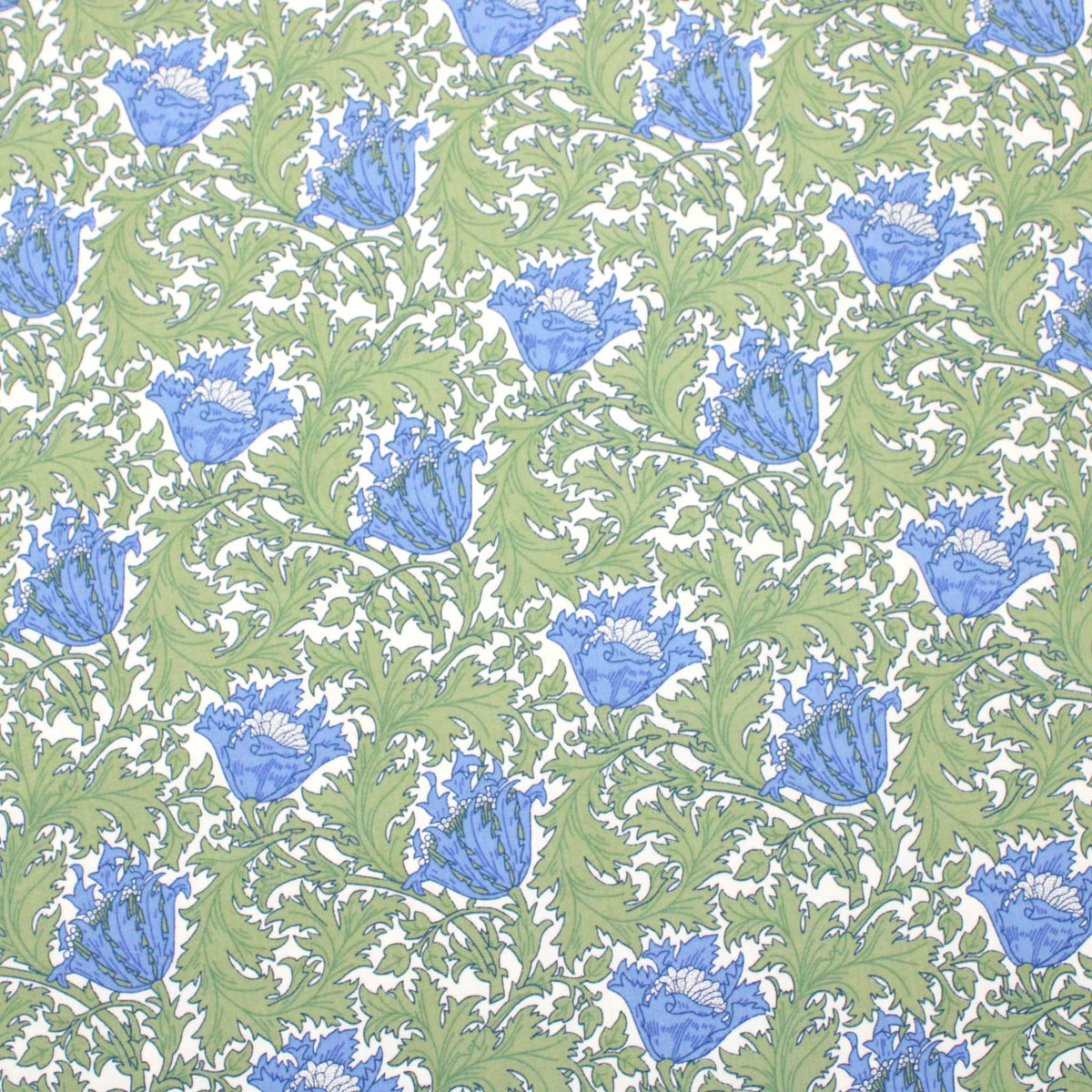 Anemone Green
