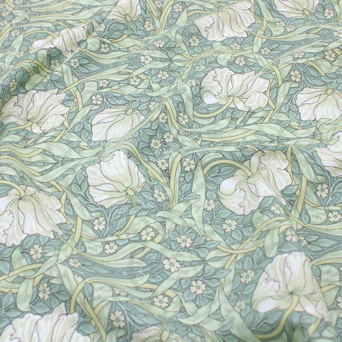 Mint