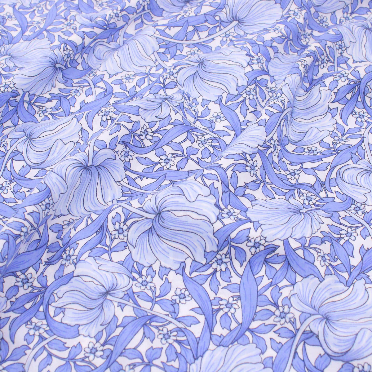 Pimpernel Blue