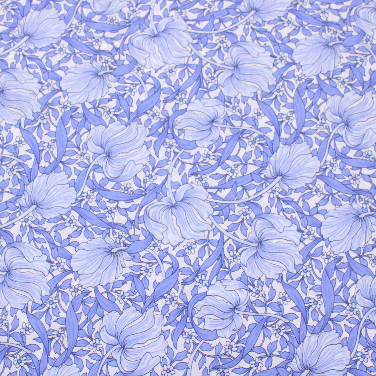 Pimpernel Blue