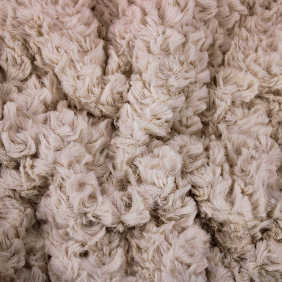 Curl Fur Vegan Teddy - Beige