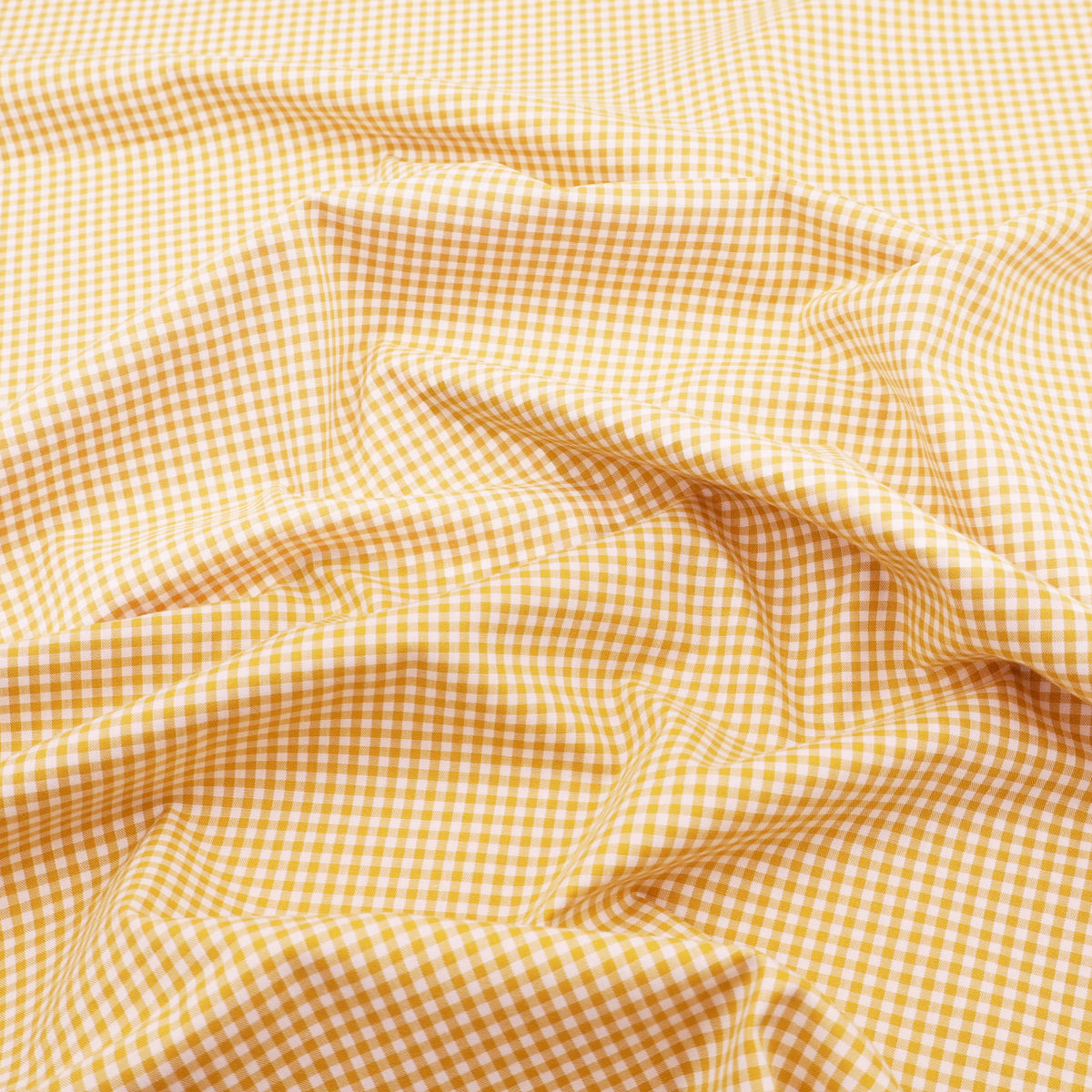 Small Ochre