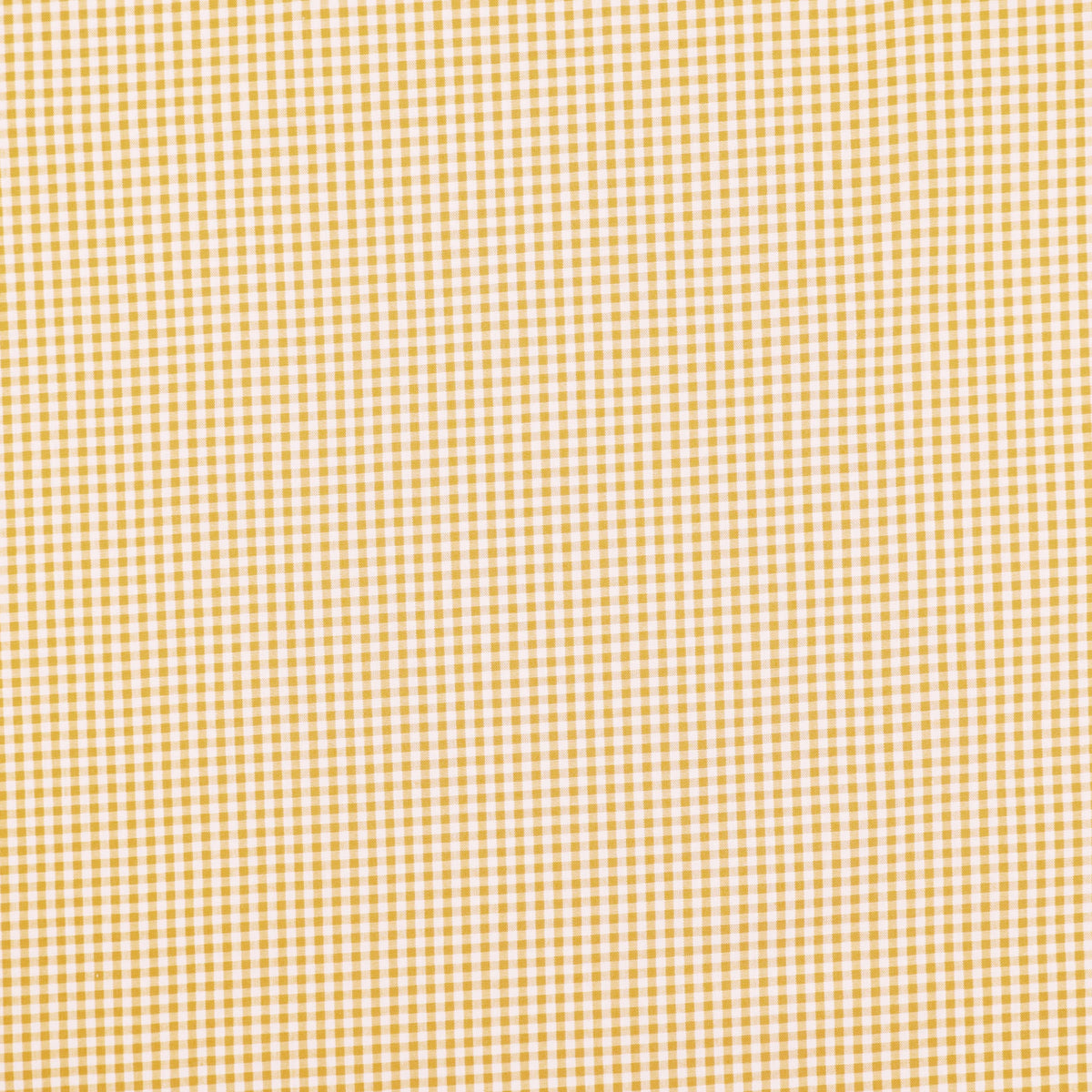 Small Ochre