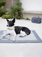 Burda Style Pet Accessories Sewing Pattern Guide B5702