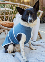 Burda Style Pet Accessories Sewing Pattern Guide B5702