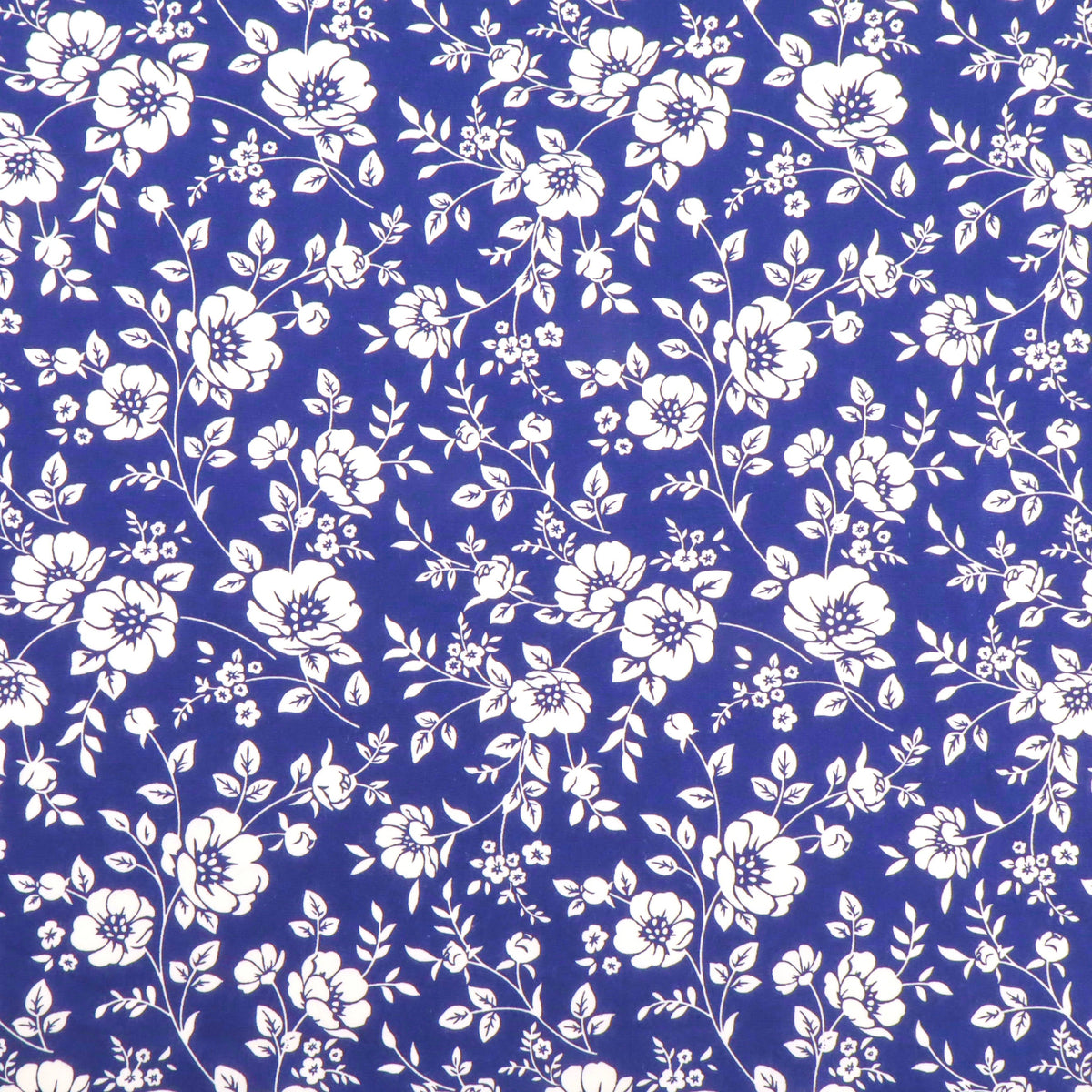 Flowers on Blue