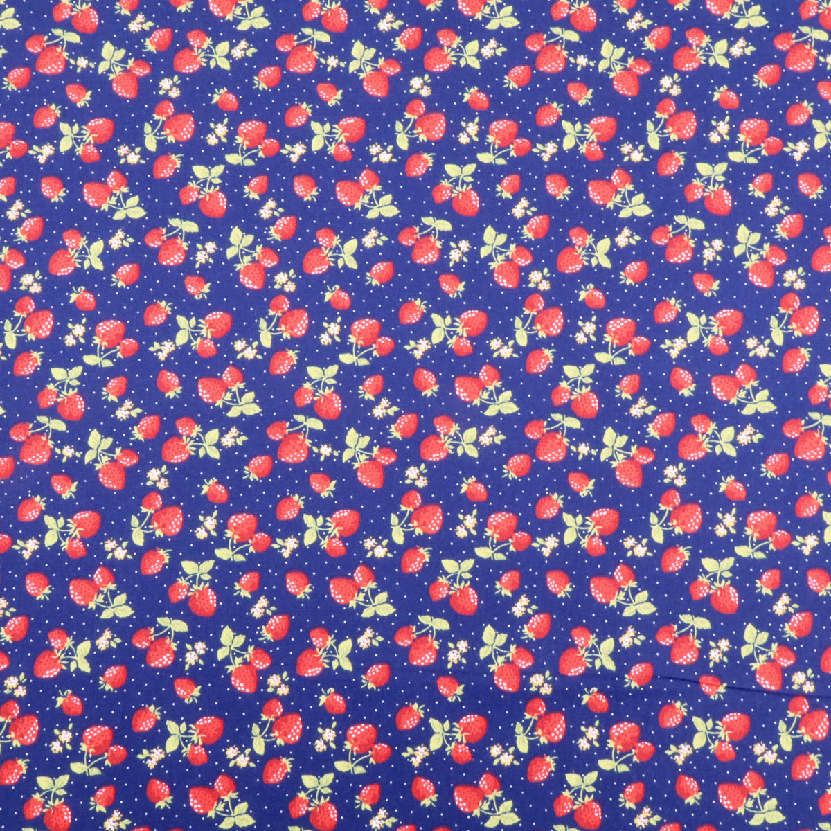 Strawberries Navy