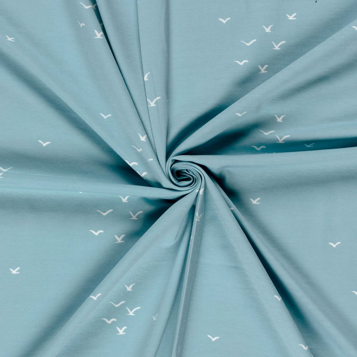 Birds on Baby Blue