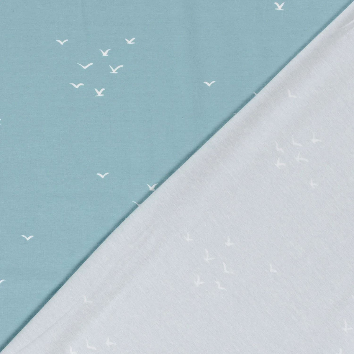 Birds on Baby Blue
