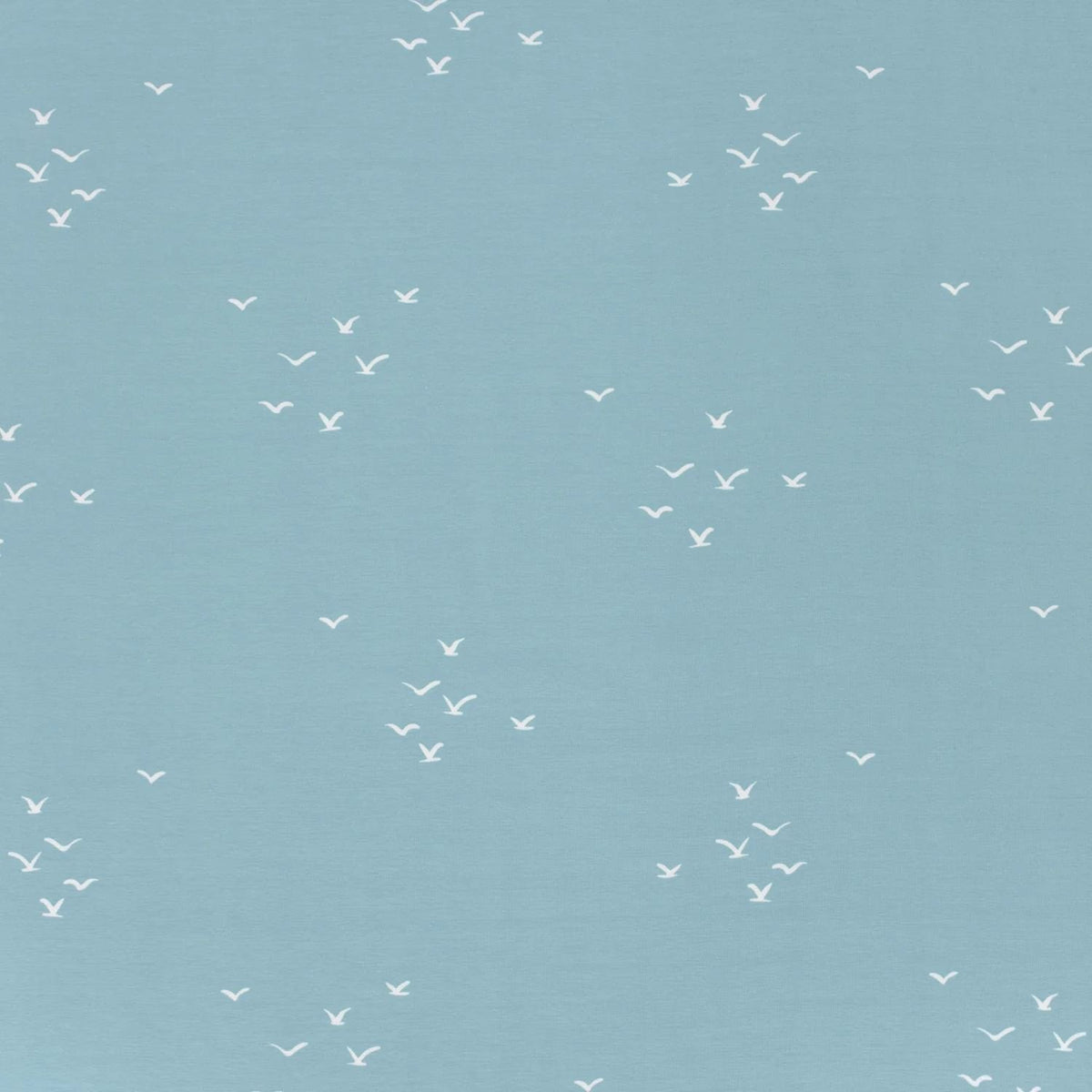 Birds on Baby Blue