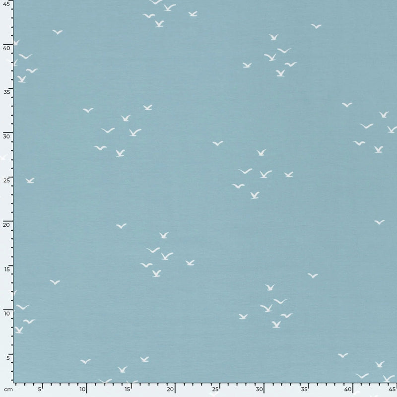 Birds on Baby Blue