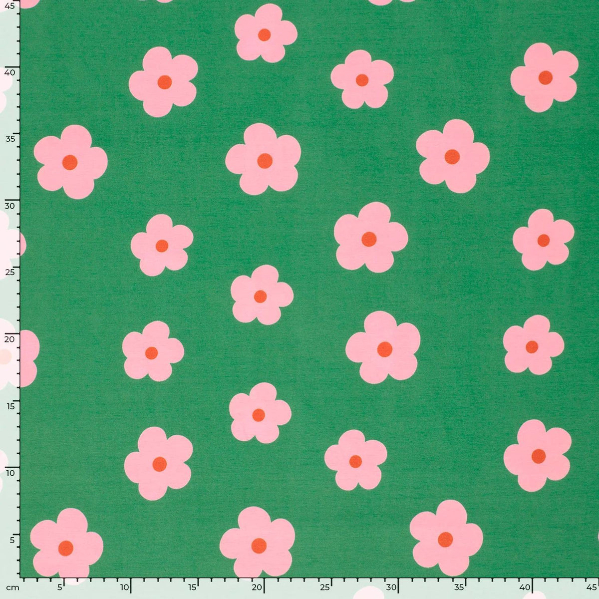 Pink Daisies on Green