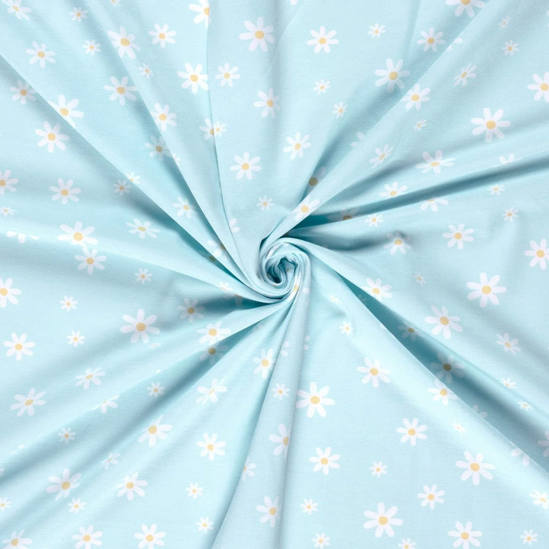 White Daisies on Blue