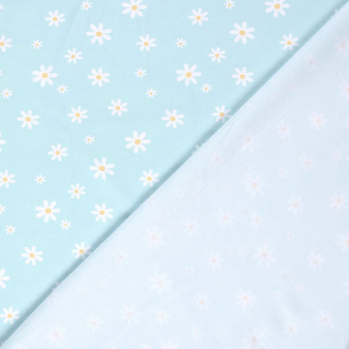 White Daisies on Blue
