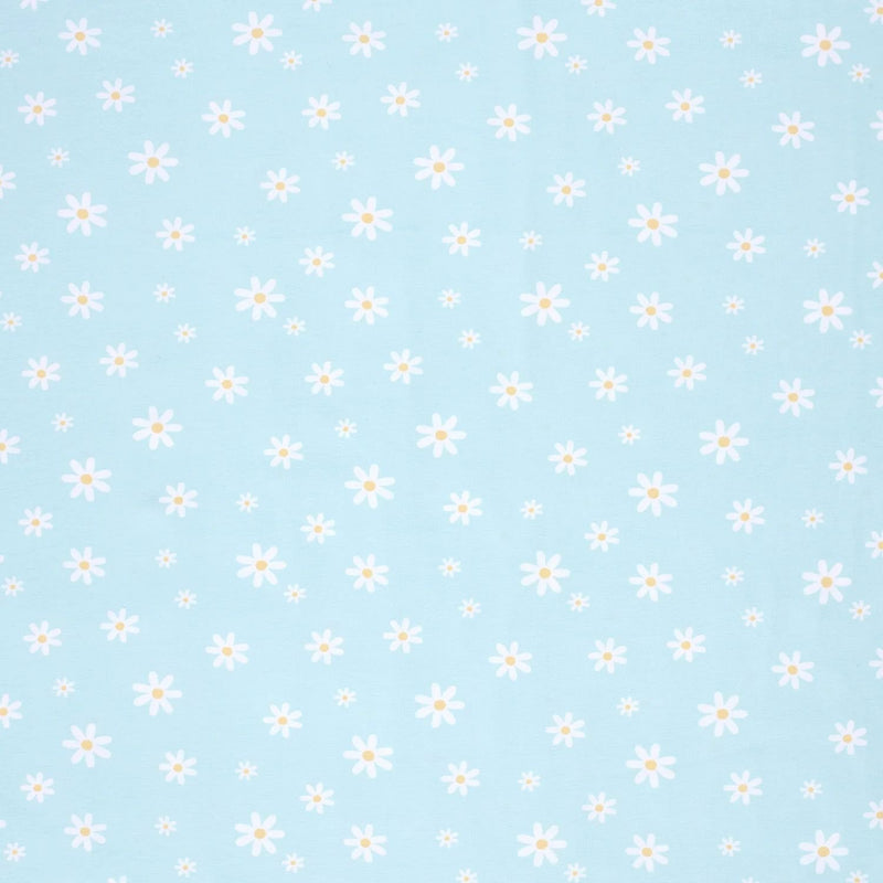 White Daisies on Blue