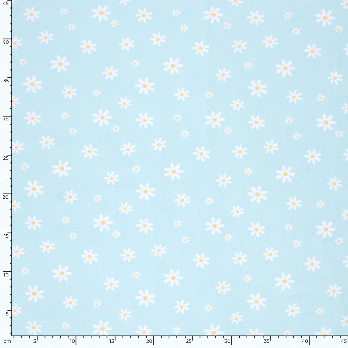 White Daisies on Blue