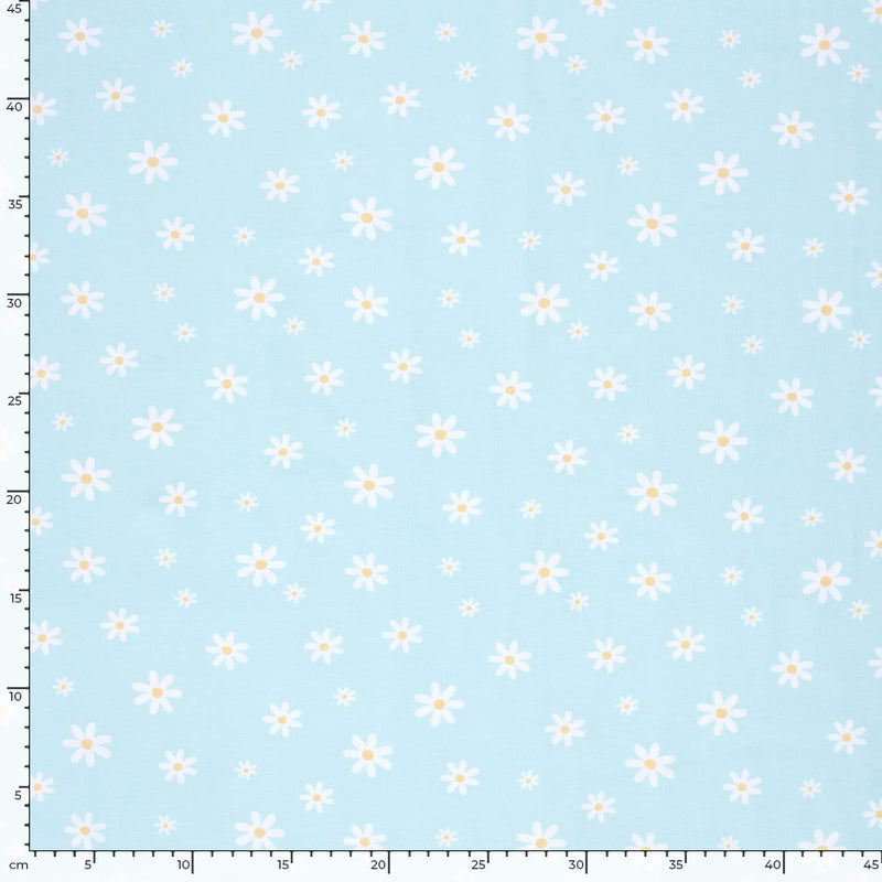 White Daisies on Blue