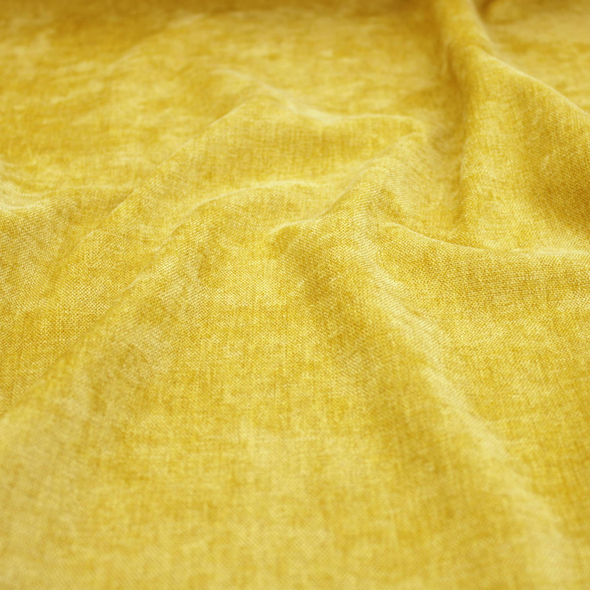 Mustard Gold