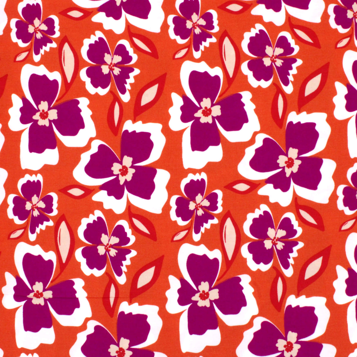  Purple Flowers
