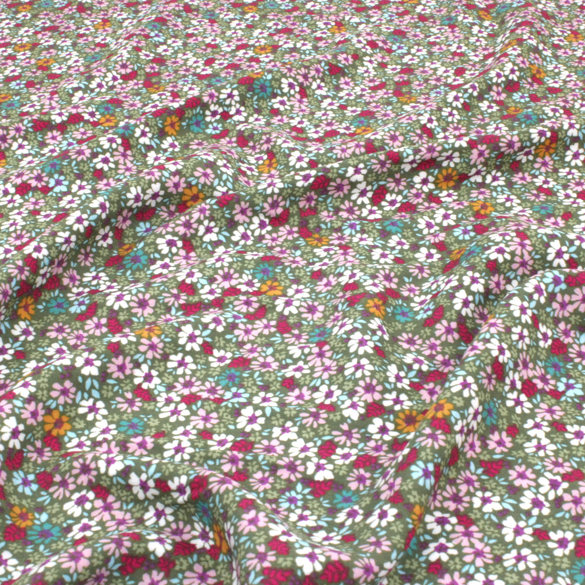  Wild Bloom