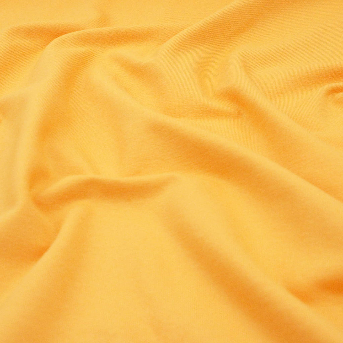 Turmeric Yellow