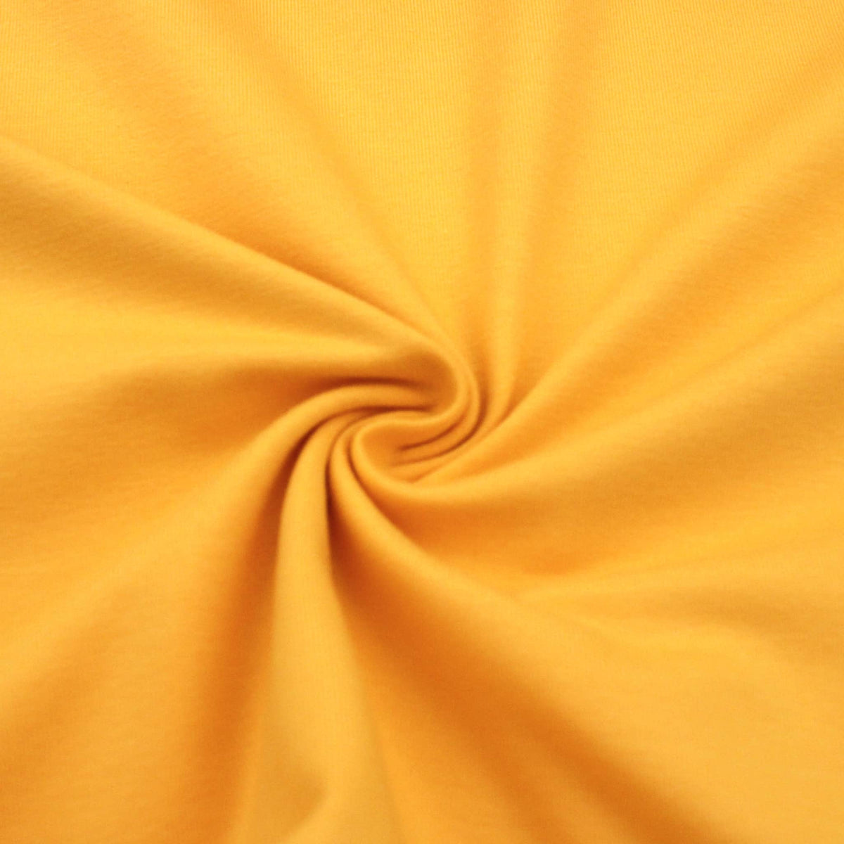 Turmeric Yellow