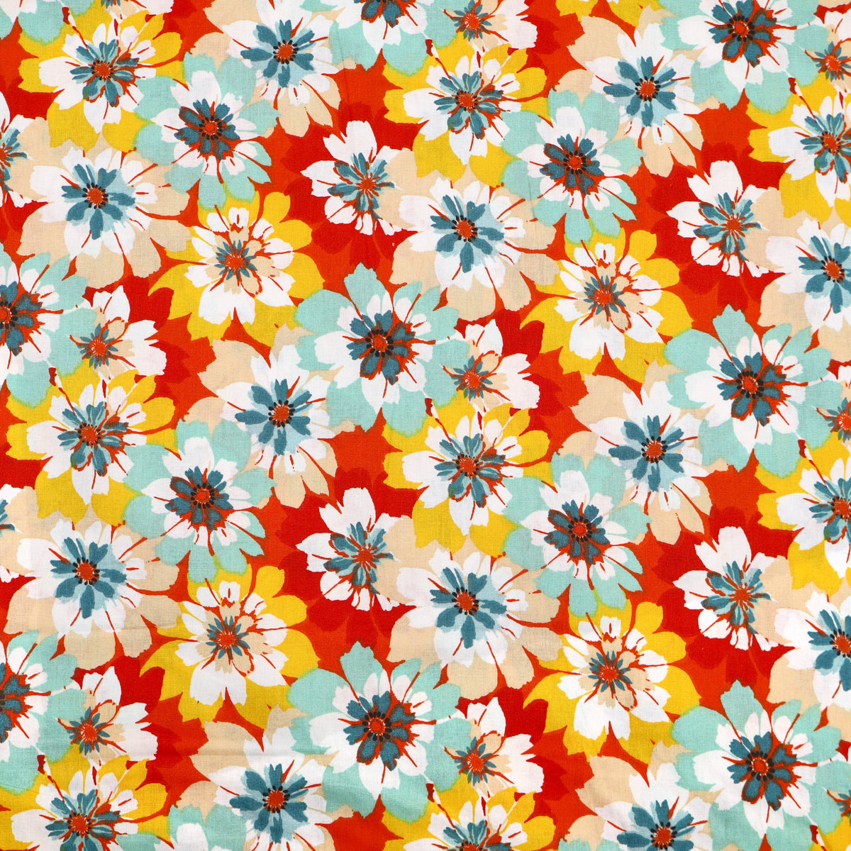 Spring Daisies